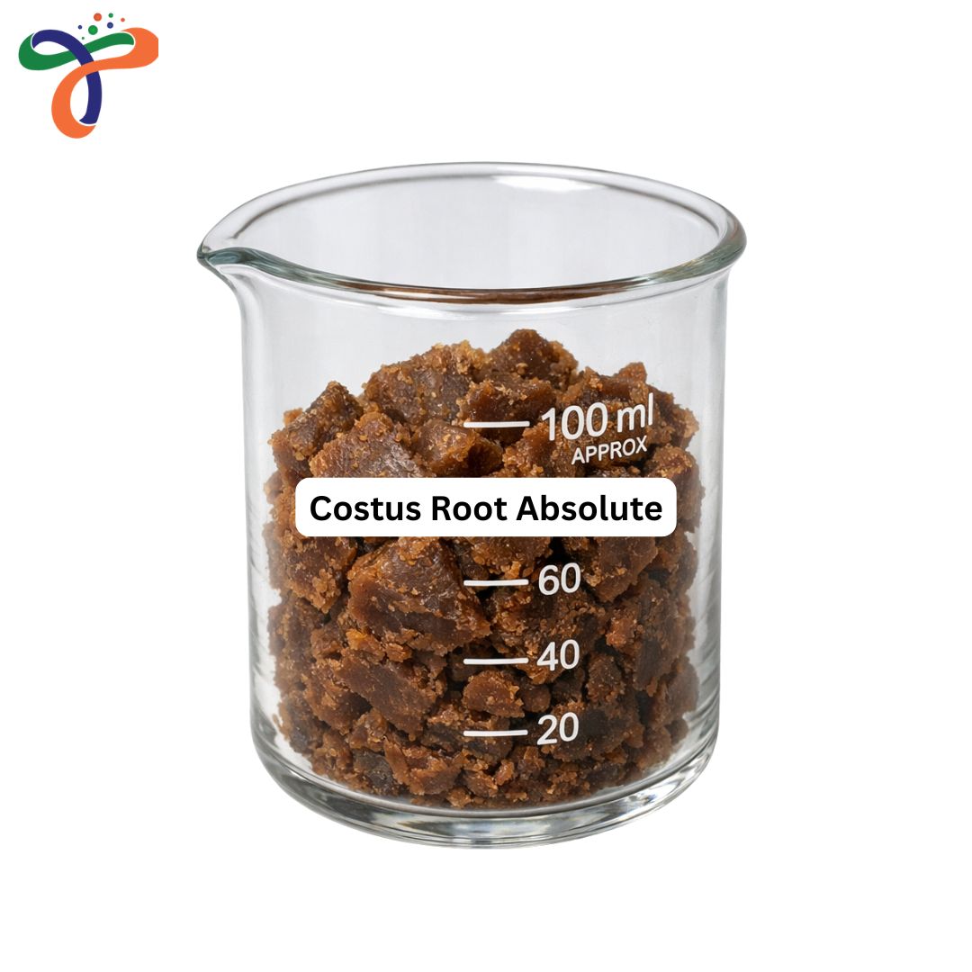 Costus Root Absolute